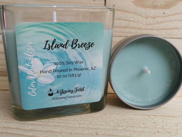 Selection of light blue Odor Neutralizing Island Breeze scented soy candles by A Glowing Trend.